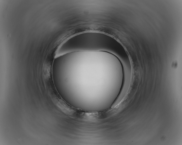 X0000093120188200709261022