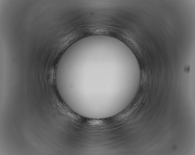 X0000093120189200709261022