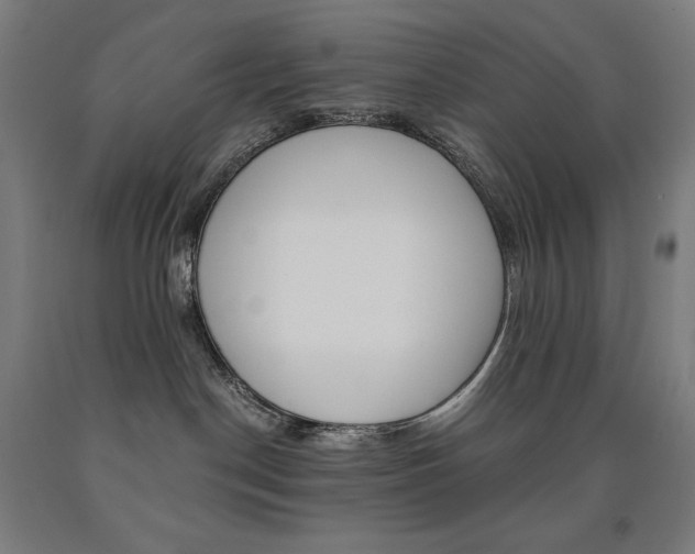 X0000093120190200709261022