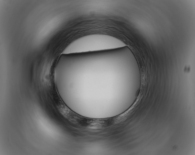 X0000093120191200709261022