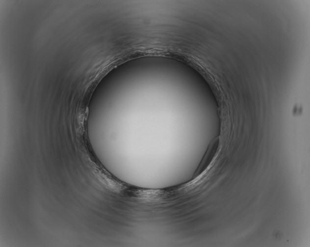 X0000093120192200709261022
