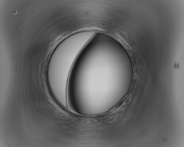 X0000093120193200709261021