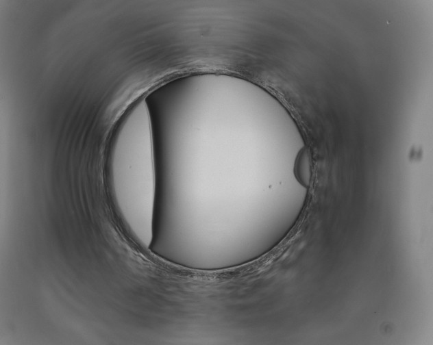 X0000093120194200709261021