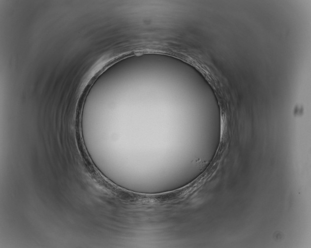 X0000093120195200709261021
