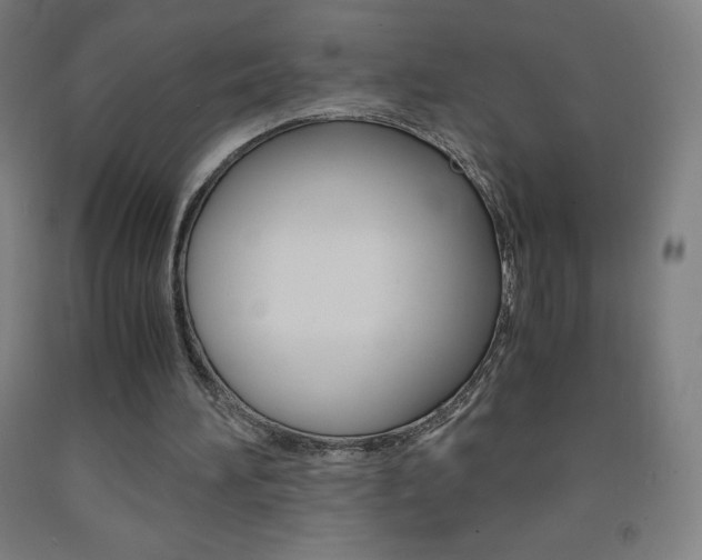X0000093120196200709261021