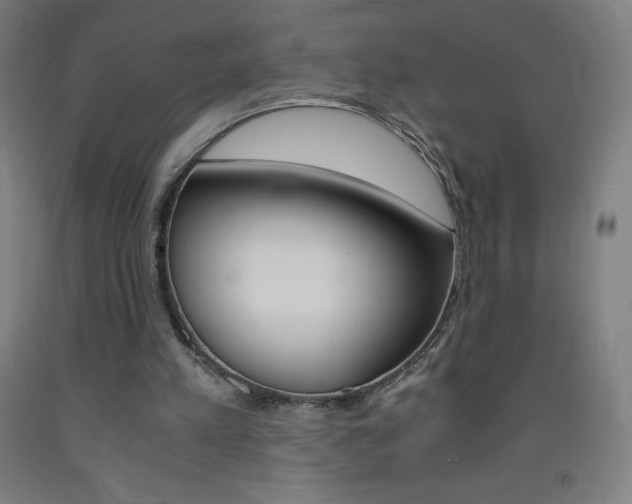 X0000093120197200709261021