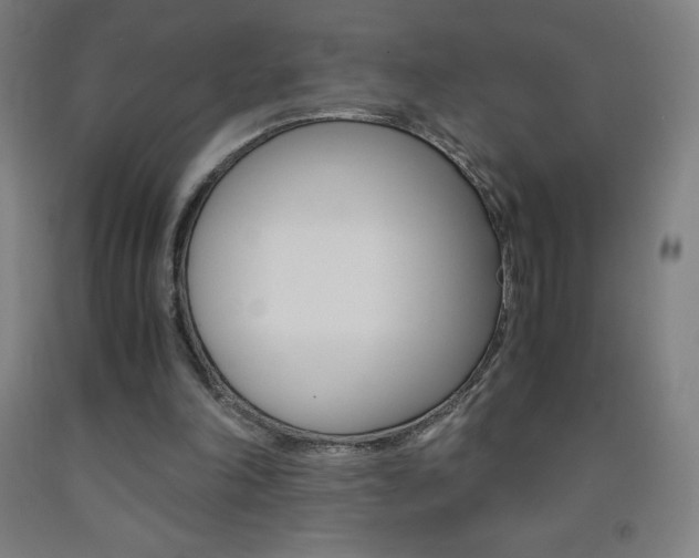 X0000093120198200709261021