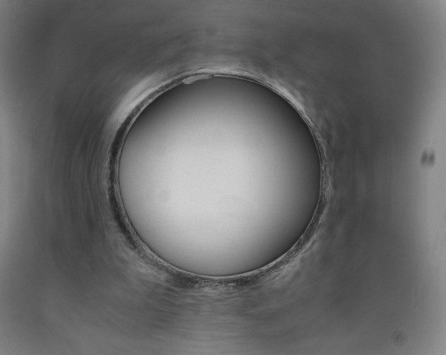 X0000093120199200709261021
