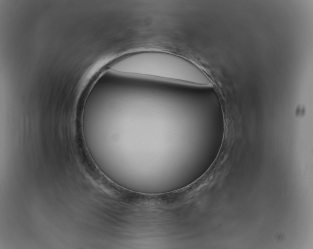 X0000093120200200709261021