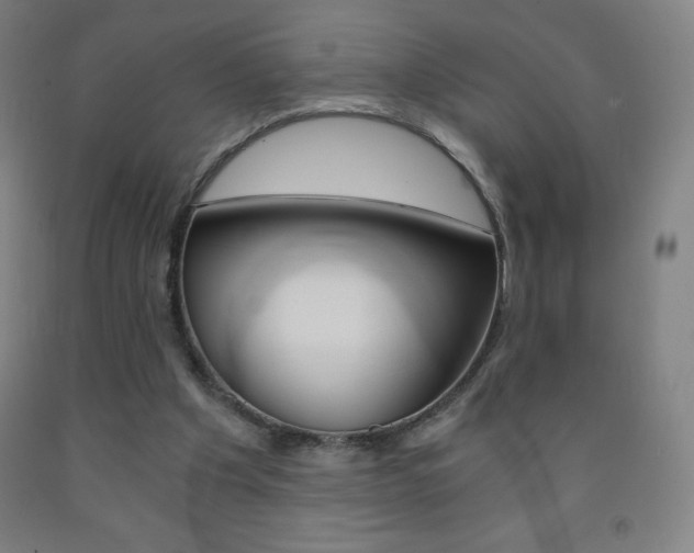 X0000093120201200709261021