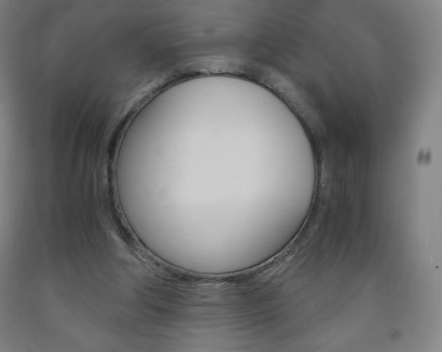 X0000093120202200709261021