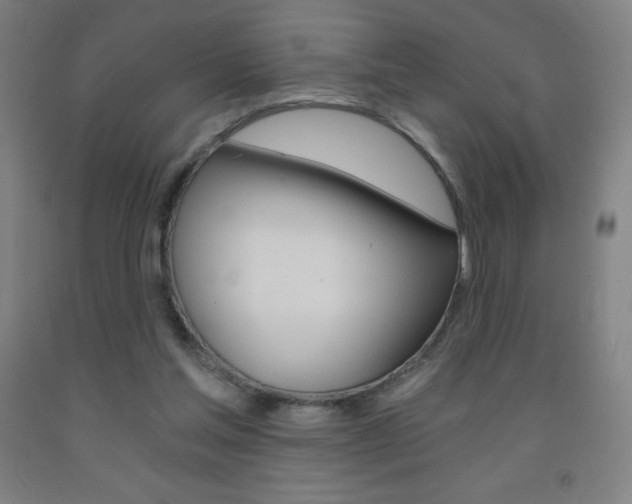 X0000093120205200709261021
