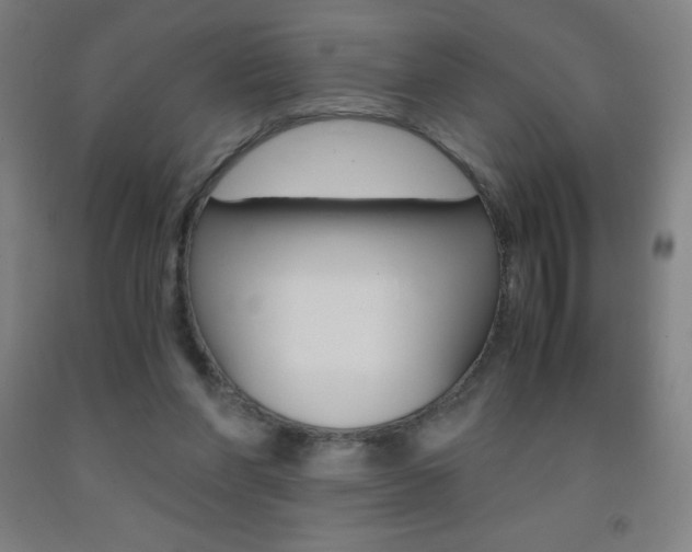 X0000093120206200709261021