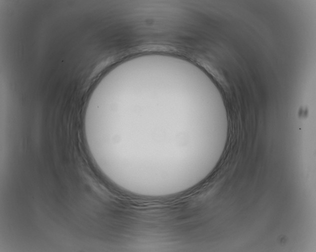 X0000093120207200709261021