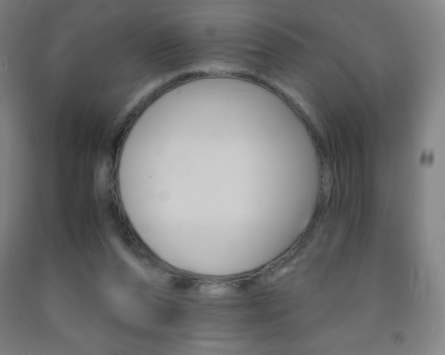 X0000093120208200709261021