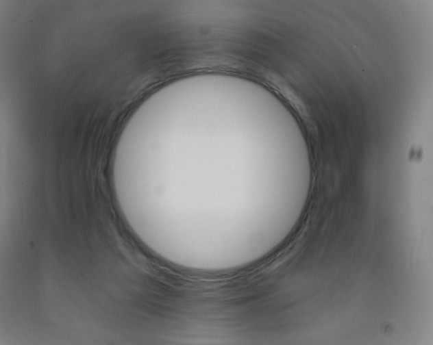 X0000093120209200709261021