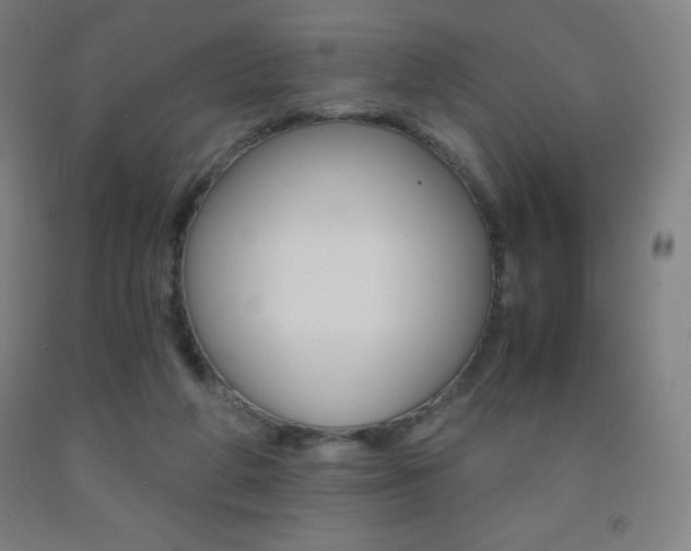 X0000093120210200709261021