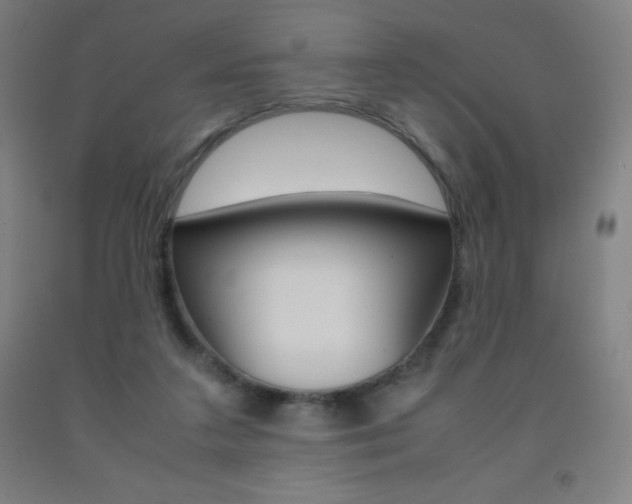 X0000093120211200709261021