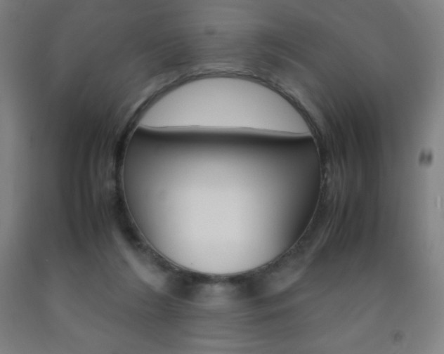 X0000093120212200709261021