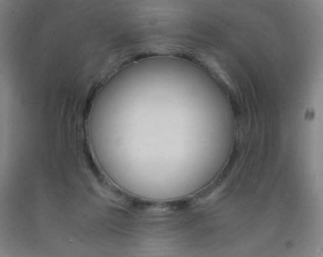 X0000093120213200709261021