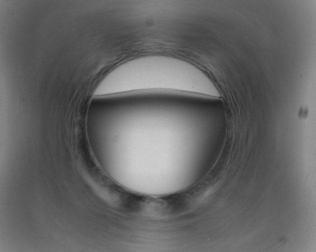 X0000093120215200709261021