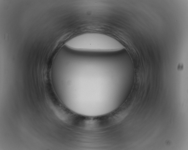 X0000093120216200709261021