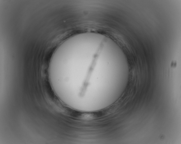X0000093120218200709261021