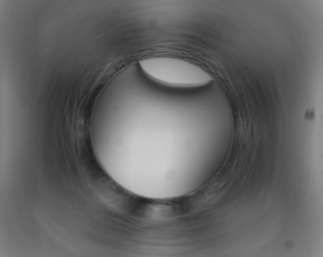 X0000093120220200709261021