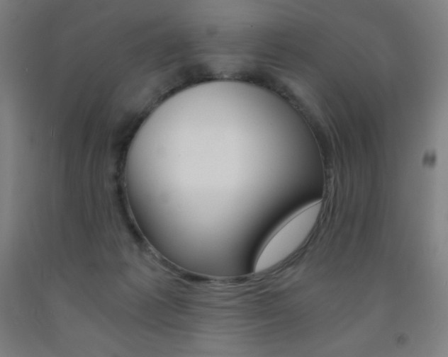X0000093120221200709261021