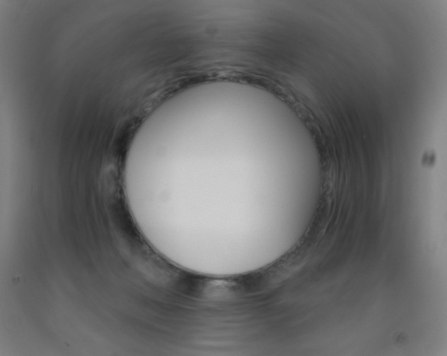 X0000093120222200709261021