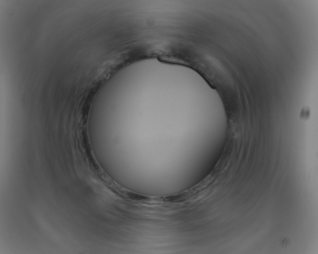 X0000093120223200709261021