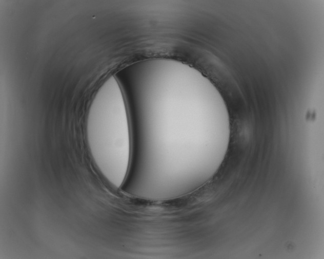 X0000093120224200709261021