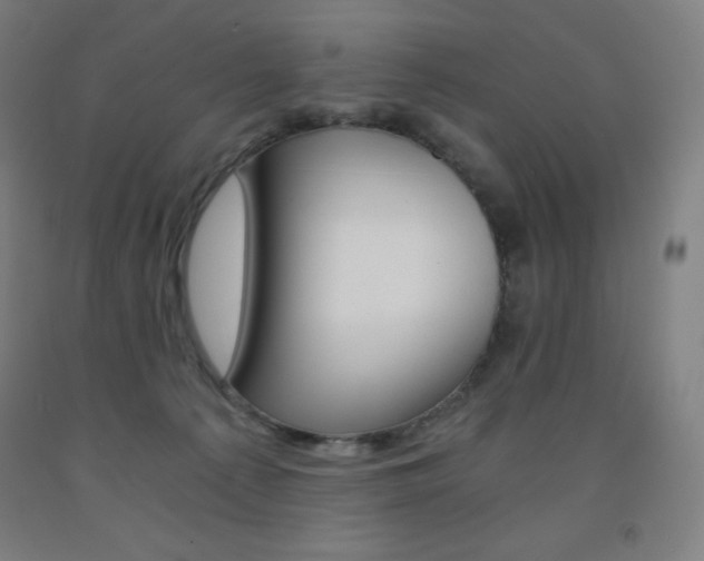 X0000093120225200709261021