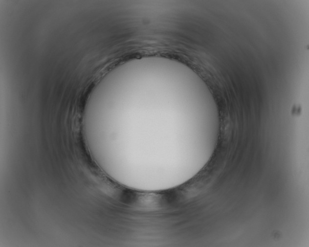 X0000093120226200709261021