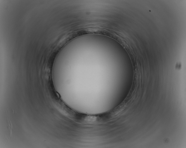 X0000093120227200709261021