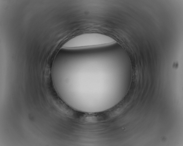 X0000093120228200709261021