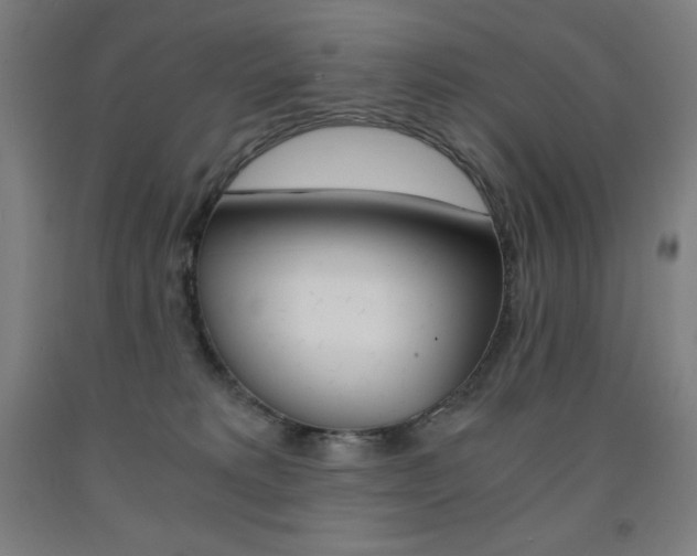 X0000093120229200709261021