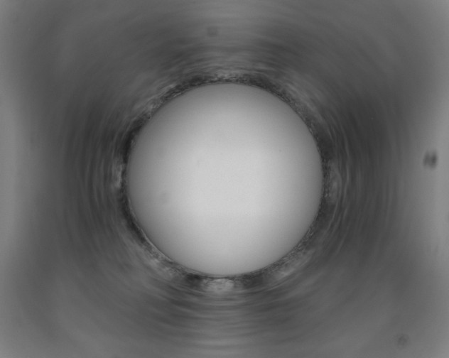 X0000093120230200709261021