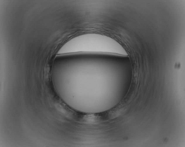 X0000093120231200709261021