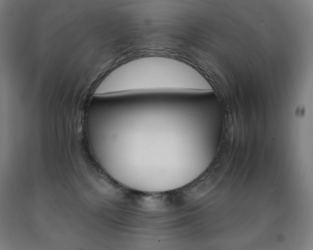 X0000093120232200709261021