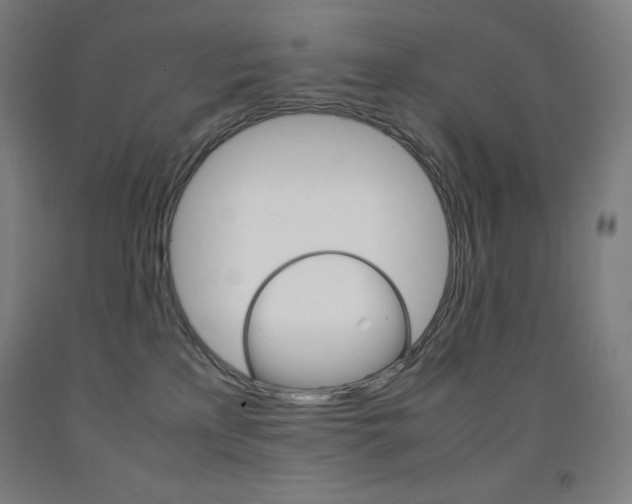 X0000093120233200709261021