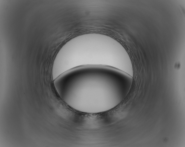 X0000093120235200709261021
