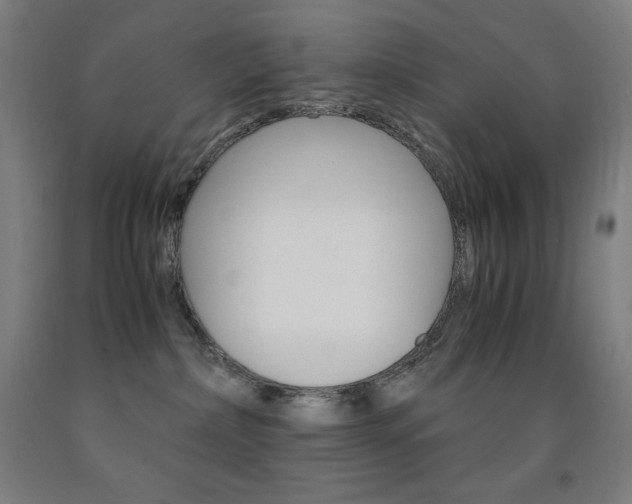 X0000093120236200709261021