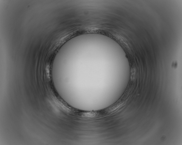 X0000093120238200709261021