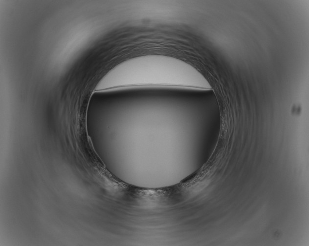 X0000093120239200709261021