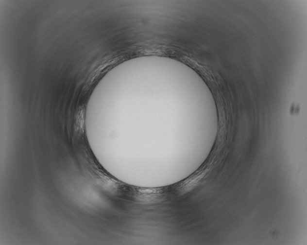 X0000093120240200709261021