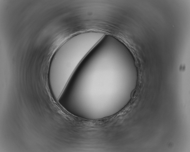 X0000093120241200709261020