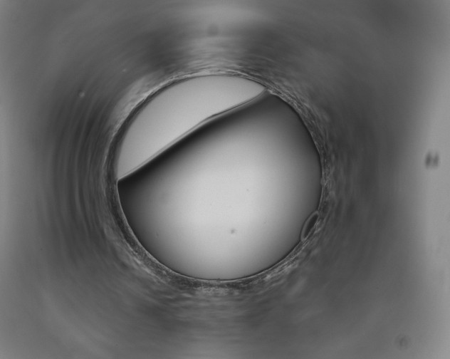X0000093120242200709261020