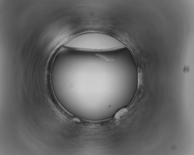 X0000093120243200709261020