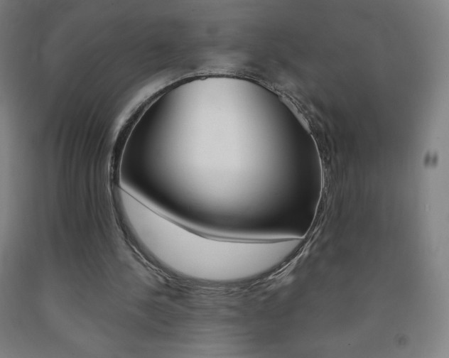 X0000093120244200709261020